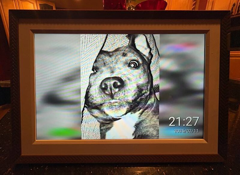 Friend's photo sunced to the frame