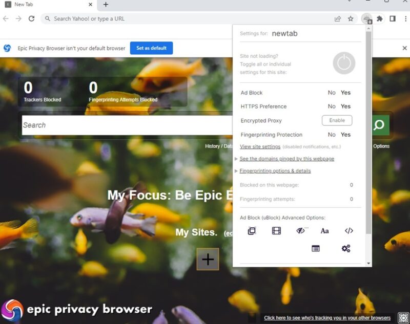 Epic Privacy Browser with privacy options opened.