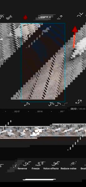 Capcut Export Reversed Video