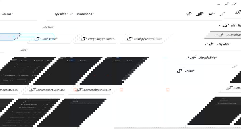 "Downloads" folder in Files app on Chromebook.