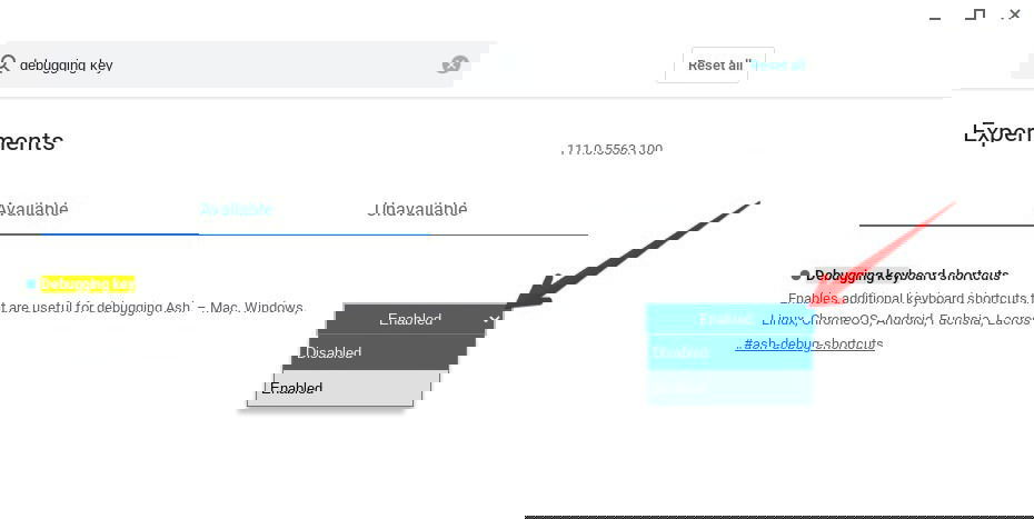 Chromebook Flag Debugging Enable