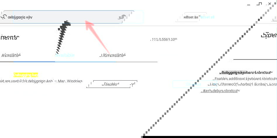 Chromebook Flag Debugging