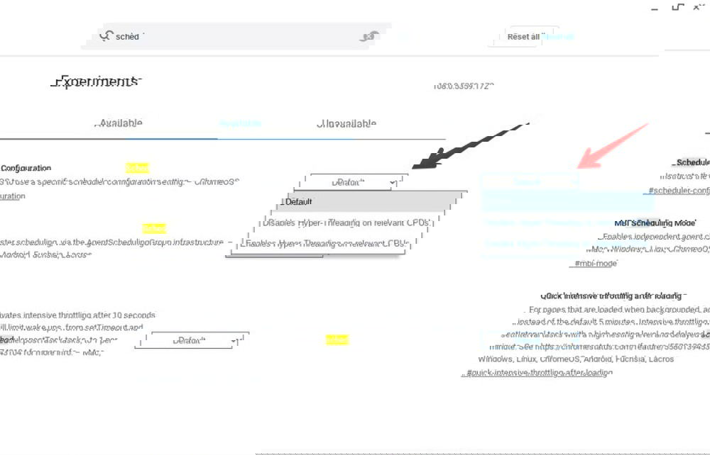 Enabling flag in Chrome browser.