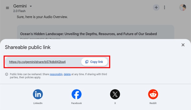 Copy Shareable Link Gemini