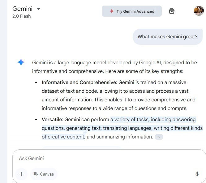 Gemini 2.0's response to my query.