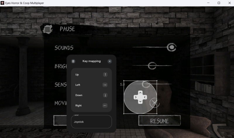 Key mapping options in Google Play Games on PC. 