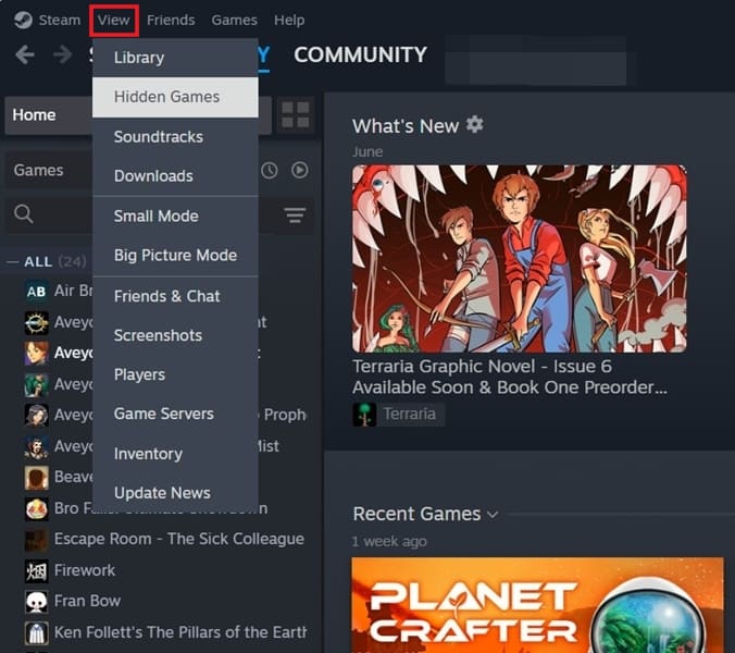 Viewing "Hidden Games" in Steam client for desktop.