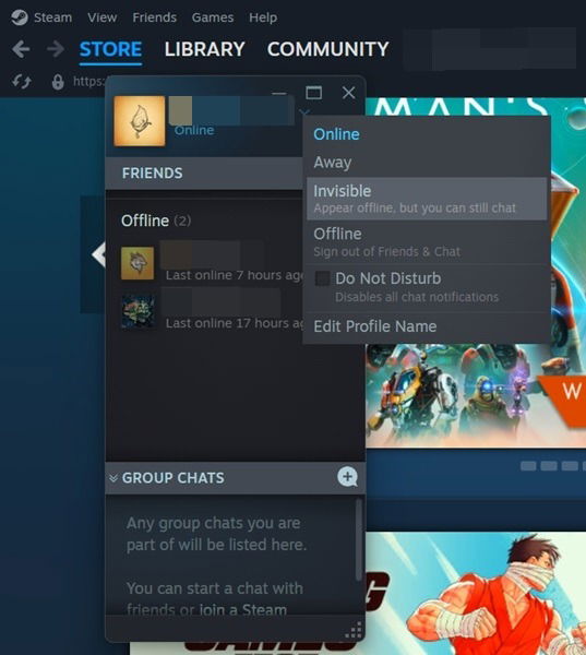 Switching user to Invisible in Steam client for desktop.