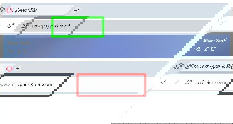 two browser address bars showing homograph URL example