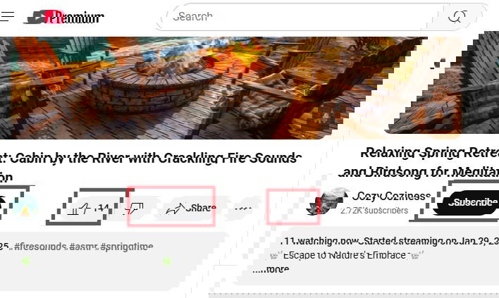 Subscribing and liking videos on YouTube.