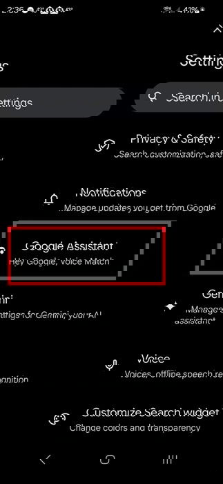 Checking for Google Assistant settings.