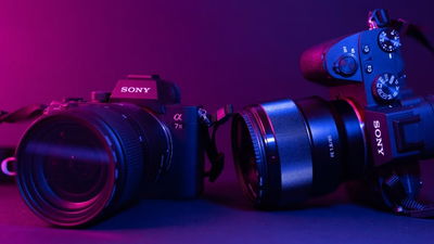 Sony digital cameras with photos to upload to Chromebook.