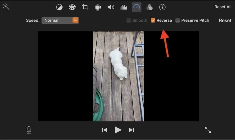 Imovie Reverse Checkbox