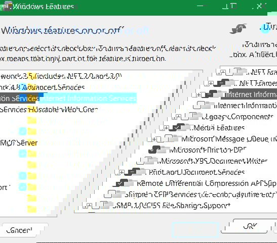 Internet Information Services menu enabled under Windows features.