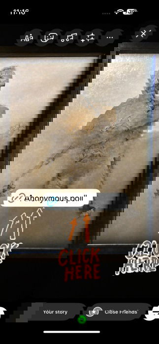 Anonymous poll view on Instagram story. 