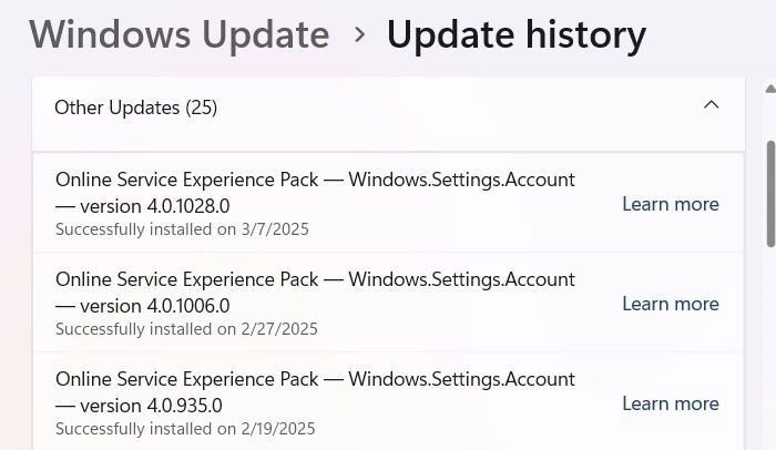 Windows 11 "Other Updates" for February and March 2025.