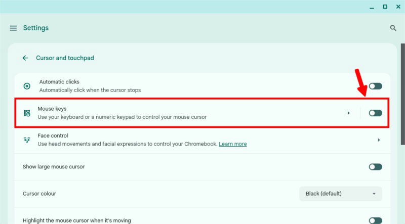 Mouse Keys Settings In Chromebook