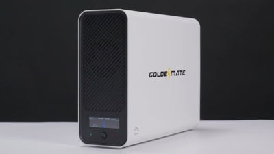GOLDENMATE UPS Device