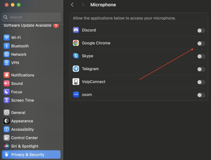 Privacy Settings Microphone Tab