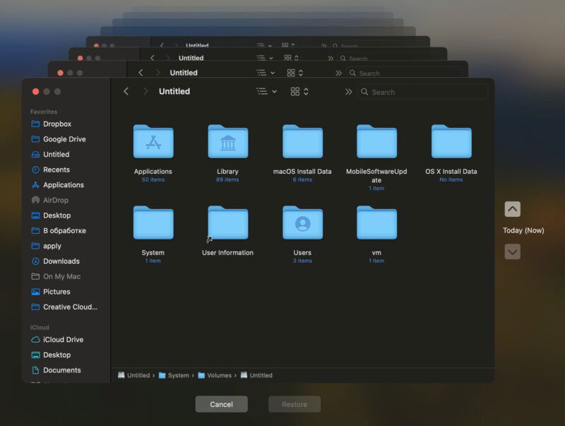 Restore Backup From Time Machine