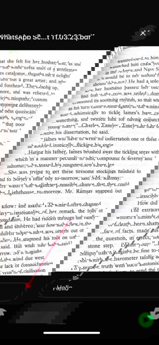 Attaching scan to a message in WhatsApp on iPhone.