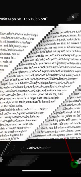 Ready to send scan in WhatsApp on iPhone.