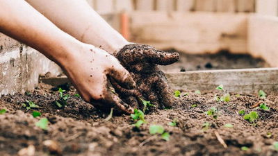 Smart Gardening Tools Featured2