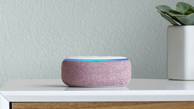 Solutions Common Amazon Echo Dot Problems Featured