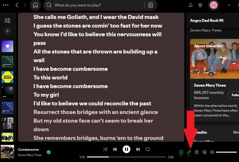 Viewing Spotify lyrics on desktop app.