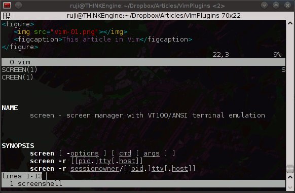 Vim plugins: Screen Vim plugins: Screen