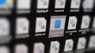 A test virus, singled out and in focus.