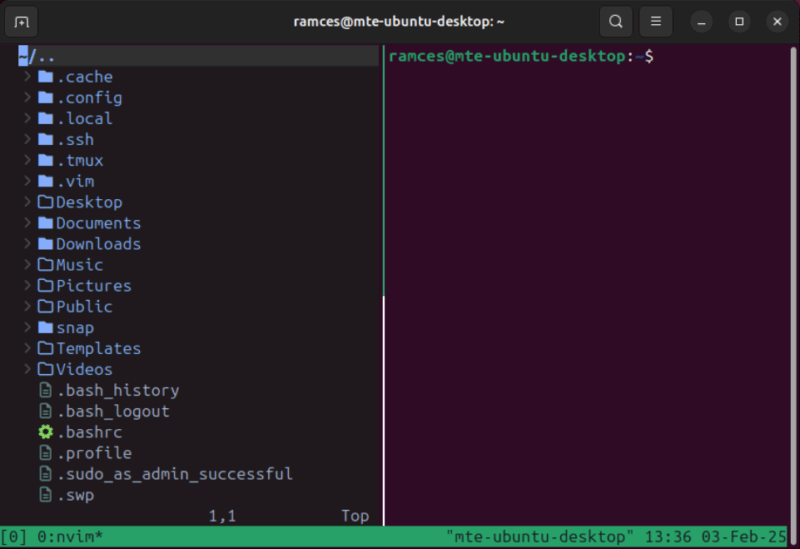 A terminal showing the Treemux plugin working on one Tmux pane.
