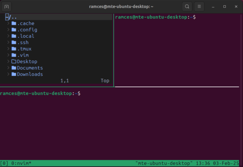 A terminal showing the Treemux plugin working on individual panes.