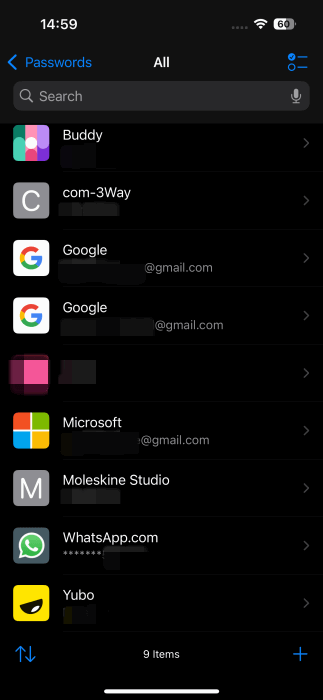 Saved accounts view in Passwords app.