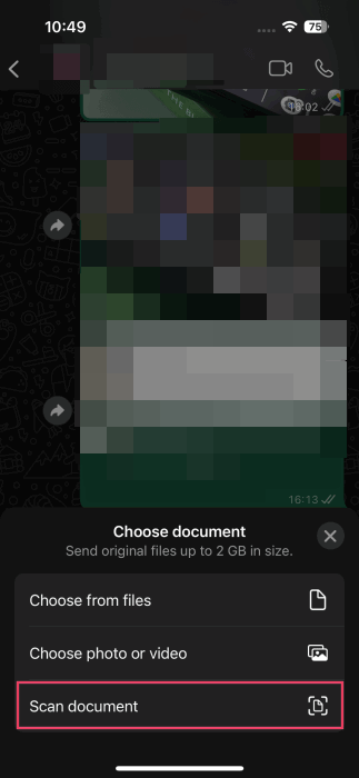 Tapping on "Scan document" option in WhatsApp on iPhone.