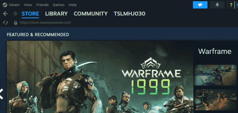 Steam Game