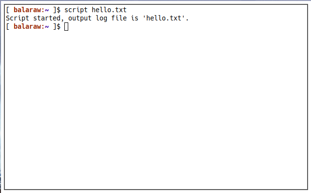 Terminal Output File 11 Start Script Example