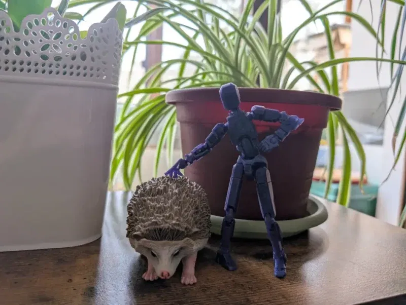 Modular print made using Elegoo Centauri Carbon. 